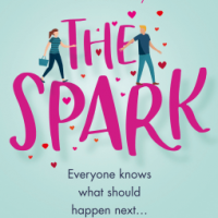 Blog Tour:  The Spark by Jules Wake