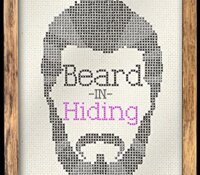 Release Blitz Review:  Beard in Hiding (Winston Brothers #4.5) by Penny Reid