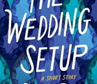 Blog Tour Review with Giveaway: The Wedding Setup by Sonali Dev