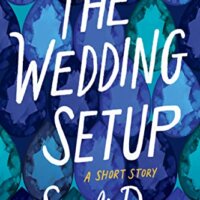 Blog Tour Review with Giveaway: The Wedding Setup by Sonali Dev