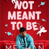Blog Tour Review:  So Not Meant to Be by Meghan Quinn