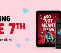 Cover Reveal:  So Not Meant to Be by Meghan Quinn