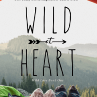 Promo Post:  Wild at Heart by Stacy Gold