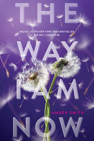 The Way I Am Now  by Amber Smith